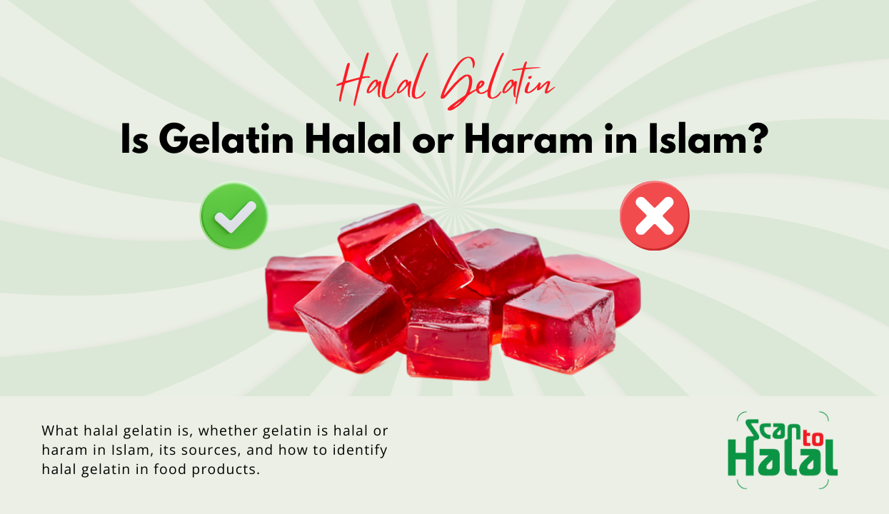 Halal Gelatin: Is Gelatin Halal or Haram in Islam?