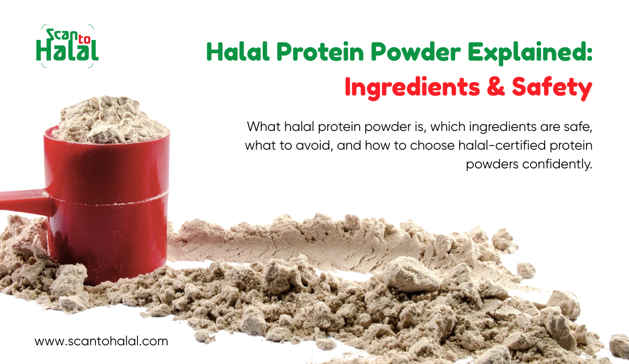 Halal Protein Powder Explained: Ingredients & Safety